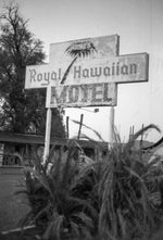 Load image into Gallery viewer, Alien Casino 35mm HP5