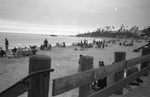 Load image into Gallery viewer, Cons of the Coastline 35mm HP5