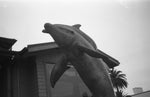 Load image into Gallery viewer, Cons of the Coastline 35mm HP5