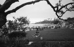 Load image into Gallery viewer, Cons of the Coastline 35mm HP5