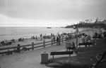Load image into Gallery viewer, Cons of the Coastline 35mm HP5