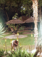 Load image into Gallery viewer, The Negative Code #1 #1 THE RED CAMERA