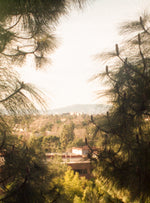 Load image into Gallery viewer, The Negative Code #1 #1 THE RED CAMERA