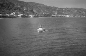 A Pier to Nowhere 35mm CineStill XX Double X