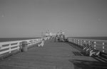 Load image into Gallery viewer, A Pier to Nowhere 35mm CineStill XX Double X
