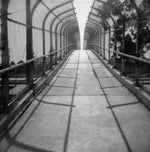 Load image into Gallery viewer, Order 56 #4 FencedIN
