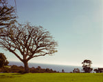 Load image into Gallery viewer, Point of Dume - Mamiya RB67 6x7 70mm Ektachrome 6x7 Slides
